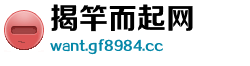 揭竿而起网 揭竿而起网